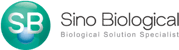 Sino Sino